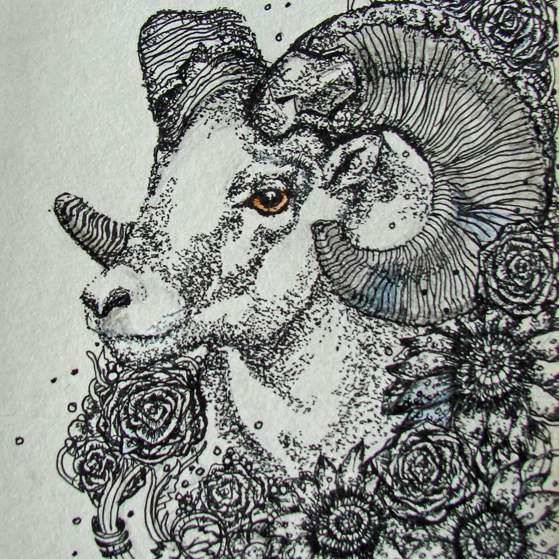 07 Chief Bighorn, 2016 Pen & Ink drawing