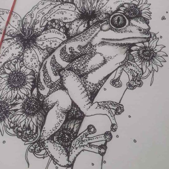 A stylized pen and ink drawing of a tree frog surrounded my lilies and other flora