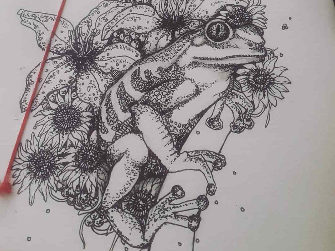 A stylized pen and ink drawing of a tree frog surrounded my lilies and other flora